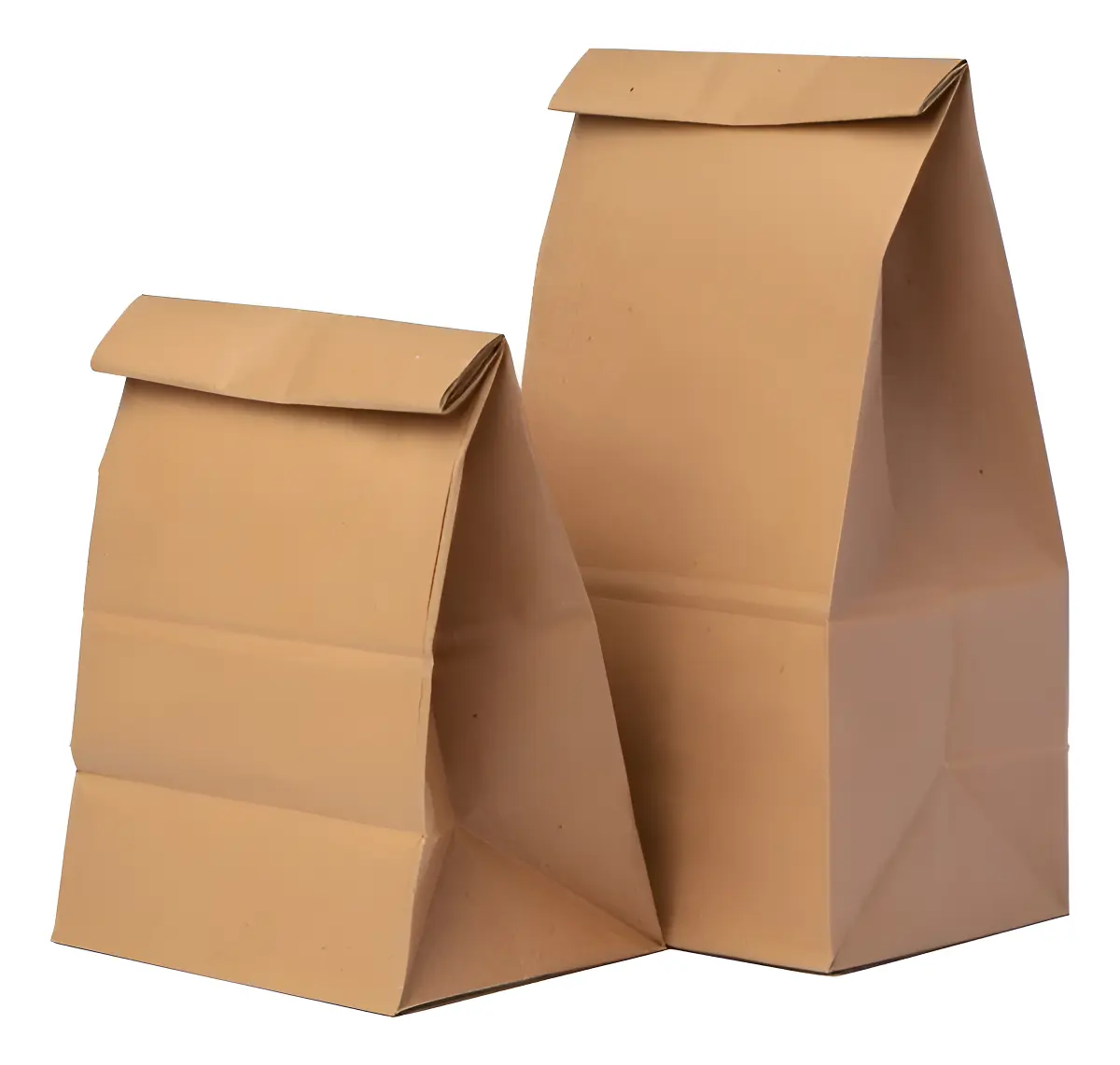 BOLSA KRAFT DELIVERY Nº 5 (20X11X30) x UN  (50)